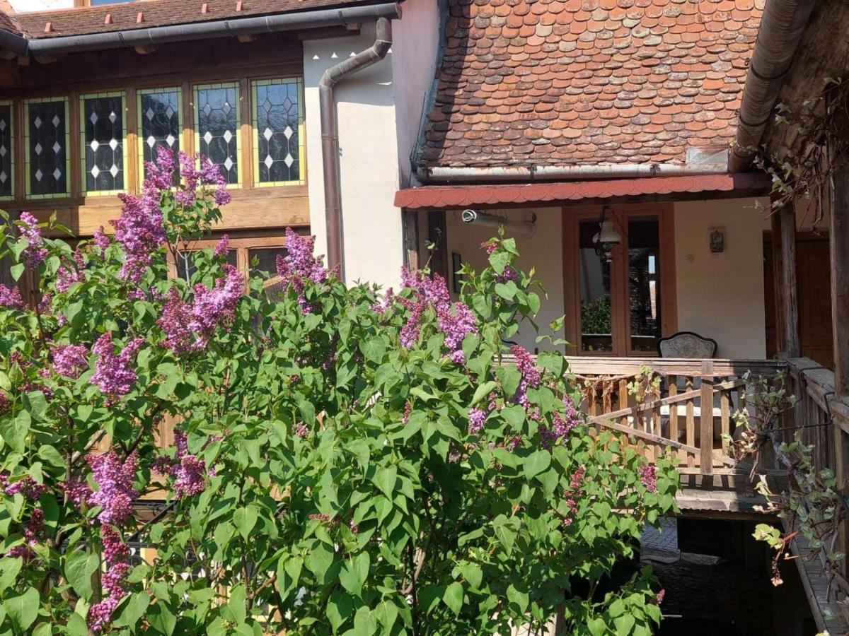 Fronius Boutique Residence Sighişoara Eksteriør bilde