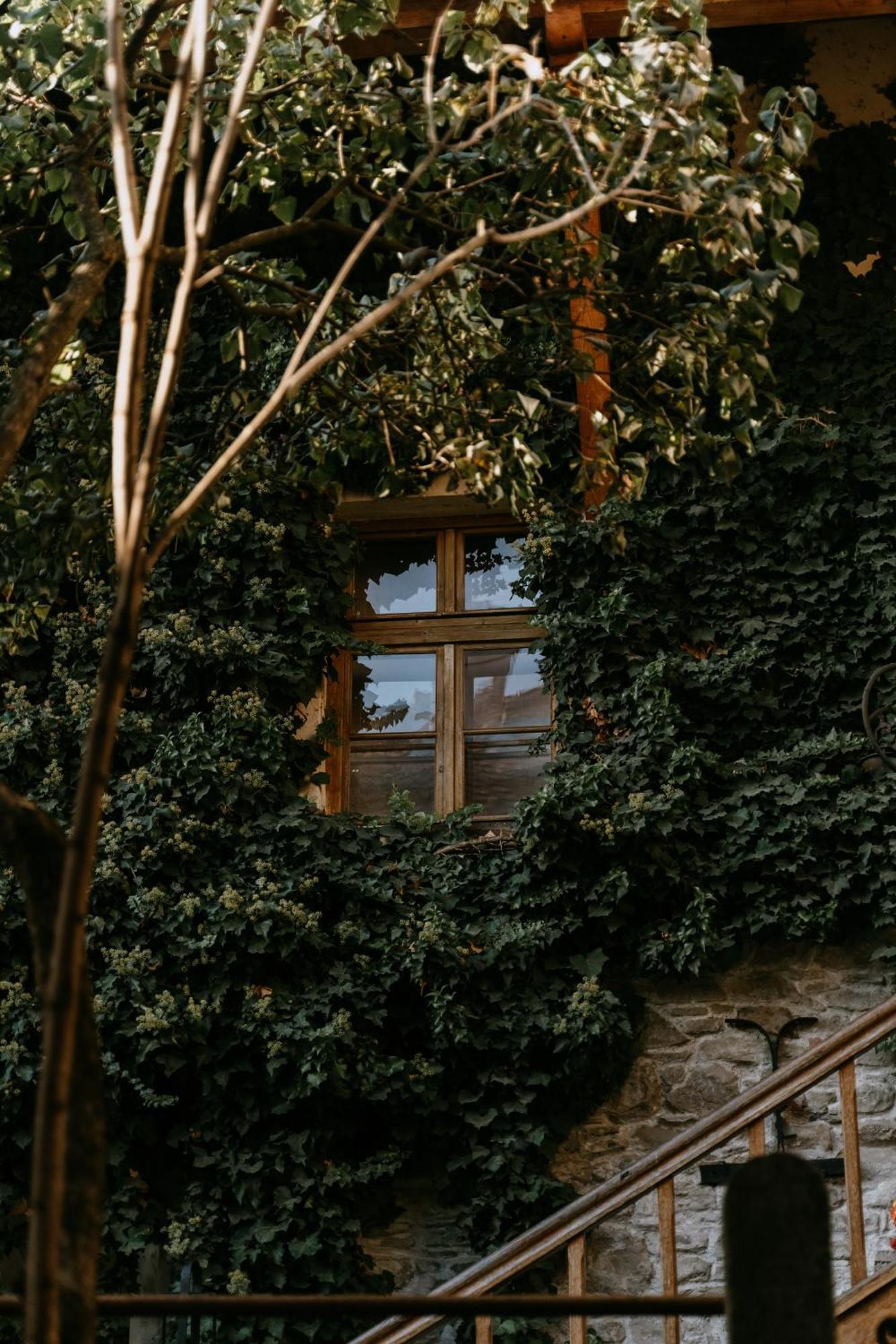 Fronius Boutique Residence Sighişoara Eksteriør bilde